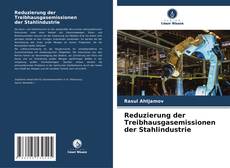 Buchcover von Reduzierung der Treibhausgasemissionen der Stahlindustrie