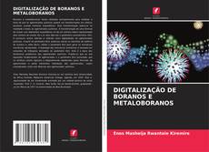 Bookcover of DIGITALIZAÇÃO DE BORANOS E METALOBORANOS