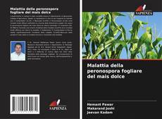 Buchcover von Malattia della peronospora fogliare del mais dolce