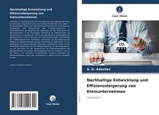 Buchcover von Nachhaltige Entwicklung und Effizienzsteigerung von Kleinunternehmen