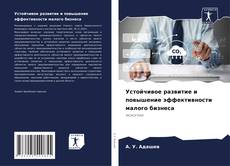 Обложка Устойчивое развитие и повышение эффективности малого бизнеса