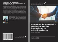 Bookcover of Estructura de propiedad y rendimiento de las instituciones de microfinanciación
