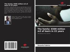 Capa do livro de The family: 6500 million m3 of tears in 22 years 