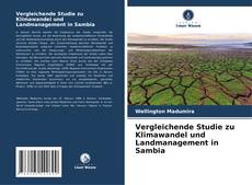 Portada del libro de Vergleichende Studie zu Klimawandel und Landmanagement in Sambia