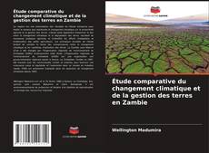 Étude comparative du changement climatique et de la gestion des terres en Zambie kitap kapağı