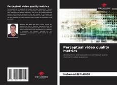 Perceptual video quality metrics kitap kapağı