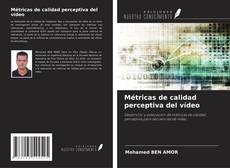 Обложка Métricas de calidad perceptiva del vídeo