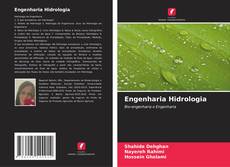 Buchcover von Engenharia Hidrologia