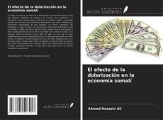 El efecto de la dolarización en la economía somalí kitap kapağı