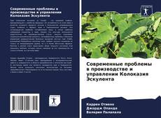 Bookcover of Современные проблемы в производстве и управлении Колоказия Эскулента