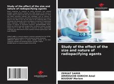 Bookcover of Study of the effect of the size and nature of radiopacifying agents