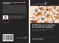 Buchcover von Problemas en el proceso de secado del algodón