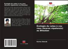 Buchcover von Écologie du calao à cou roux (Aceros nipalensis) au Bhoutan