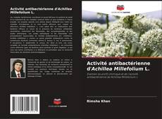 Copertina di Activité antibactérienne d'Achillea Millefolium L.