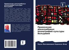 Buchcover von Применение доколумбовых иконографий культуры Вальдивия