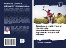 Buchcover von Социальное действие и социальное законодательство для практики социальной работы
