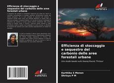 Bookcover of Efficienza di stoccaggio e sequestro del carbonio delle aree forestali urbane