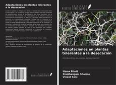Borítókép a  Adaptaciones en plantas tolerantes a la desecación - hoz