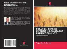 Buchcover von FURAN EM CEREAIS INFANTIS HIDROLISADOS ENZIMATICAMENTE