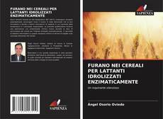 Buchcover von FURANO NEI CEREALI PER LATTANTI IDROLIZZATI ENZIMATICAMENTE