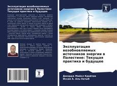 Portada del libro de Эксплуатация возобновляемых источников энергии в Палестине: Текущая практика и будущее