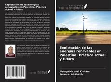 Portada del libro de Explotación de las energías renovables en Palestina: Práctica actual y futuro