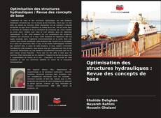 Optimisation des structures hydrauliques : Revue des concepts de base的封面