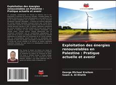 Обложка Exploitation des énergies renouvelables en Palestine : Pratique actuelle et avenir