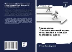 Применение сбалансированной карты показателей в НПО для постановки целей kitap kapağı