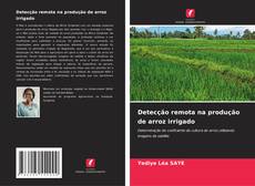 Detecção remota na produção de arroz irrigado的封面
