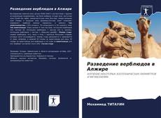 Borítókép a  Разведение верблюдов в Алжире - hoz