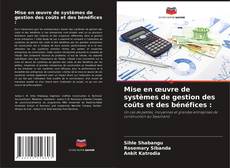 Buchcover von Mise en œuvre de systèmes de gestion des coûts et des bénéfices :