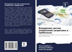 Внедрение систем управления затратами и прибылью: kitap kapağı