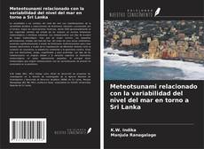 Buchcover von Meteotsunami relacionado con la variabilidad del nivel del mar en torno a Sri Lanka