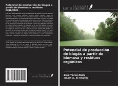 Copertina di Potencial de producción de biogás a partir de biomasa y residuos orgánicos