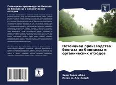 Borítókép a  Потенциал производства биогаза из биомассы и органических отходов - hoz