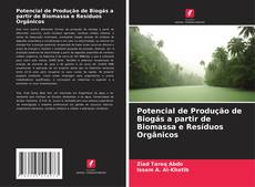 Borítókép a  Potencial de Produção de Biogás a partir de Biomassa e Resíduos Orgânicos - hoz