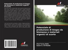 Bookcover of Potenziale di produzione di biogas da biomassa e materiali organici di scarto