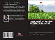 L'EFFICACITÉ DU SYSTÈME D'IRRIGATION SOLAIRE的封面