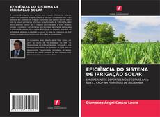 Buchcover von EFICIÊNCIA DO SISTEMA DE IRRIGAÇÃO SOLAR