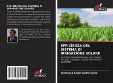 Buchcover von EFFICIENZA DEL SISTEMA DI IRRIGAZIONE SOLARE