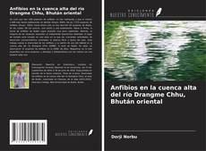 Copertina di Anfibios en la cuenca alta del río Drangme Chhu, Bhután oriental
