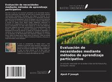 Capa do livro de Evaluación de necesidades mediante métodos de aprendizaje participativo 
