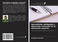 Обложка Aprendizaje, pedagogía y desarrollo curricular en la educación superior