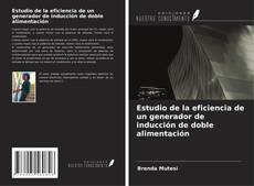 Bookcover of Estudio de la eficiencia de un generador de inducción de doble alimentación