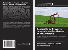 Capa do livro de Desarrollo de Proyecto Integrado de Gas Natural en Mozambique 