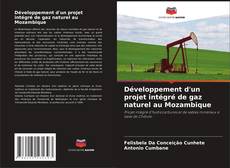 Capa do livro de Développement d'un projet intégré de gaz naturel au Mozambique 