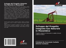 Sviluppo del Progetto Integrato Gas Naturale in Mozambico kitap kapağı
