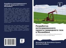 Buchcover von Разработка интегрированного проекта природного газа в Мозамбике