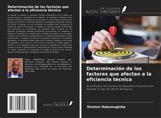 Capa do livro de Determinación de los factores que afectan a la eficiencia técnica 
